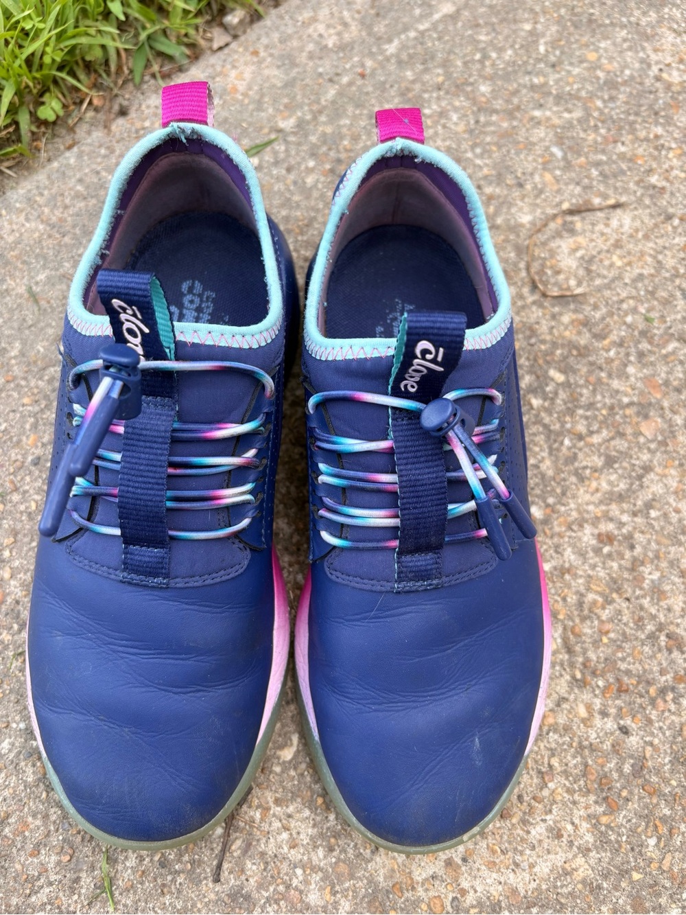 Clove Navy & Pink Slip-On Sneakers